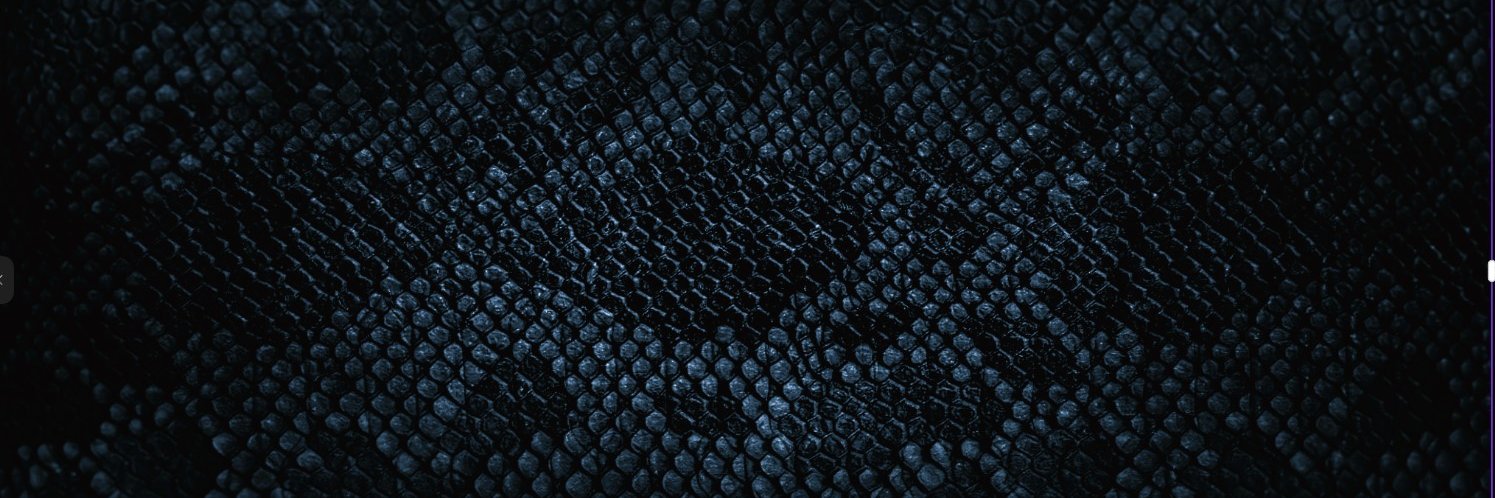 CobraHell's profile banner image