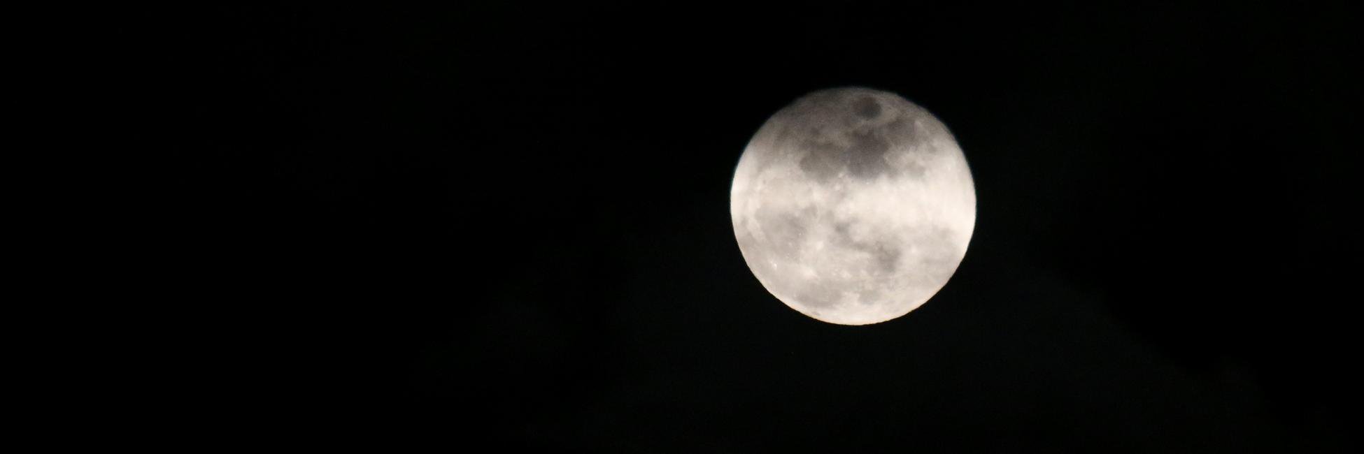 Carole Morris-Underhill banner