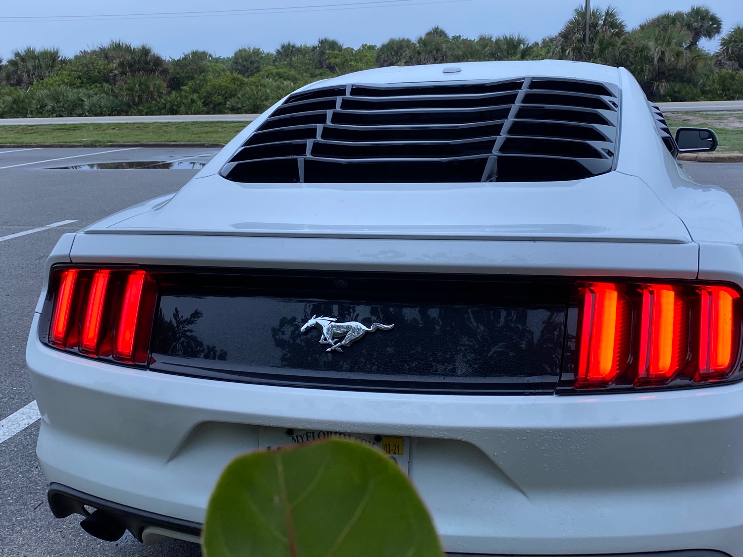 josephrivera889's profile banner image