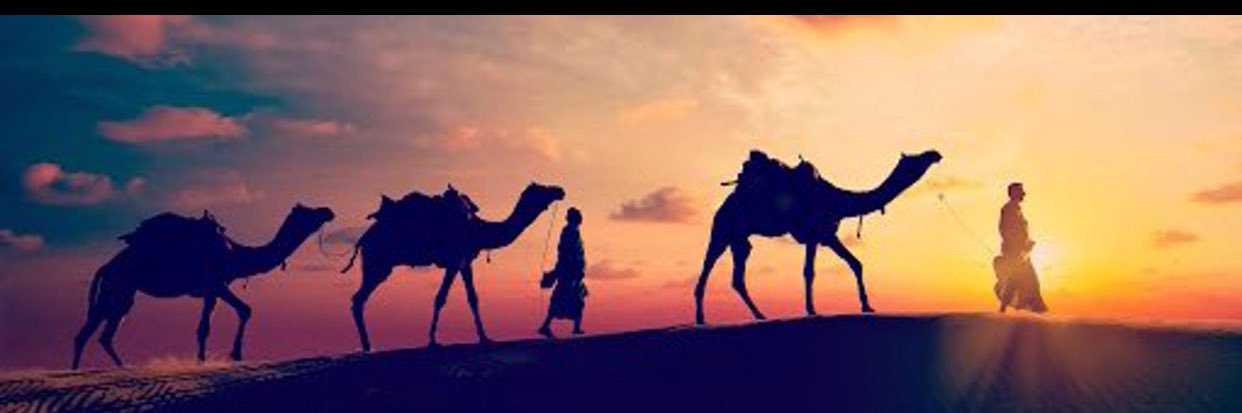 meshari5590's profile banner image