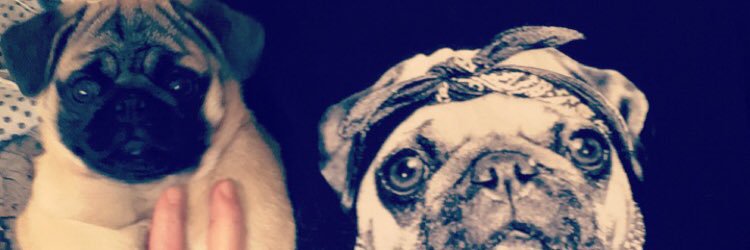 makeupalaena's profile banner image