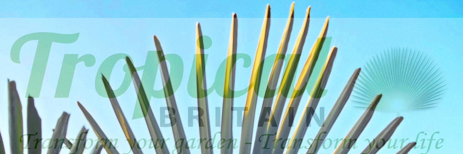 TropicalBritain's profile banner image