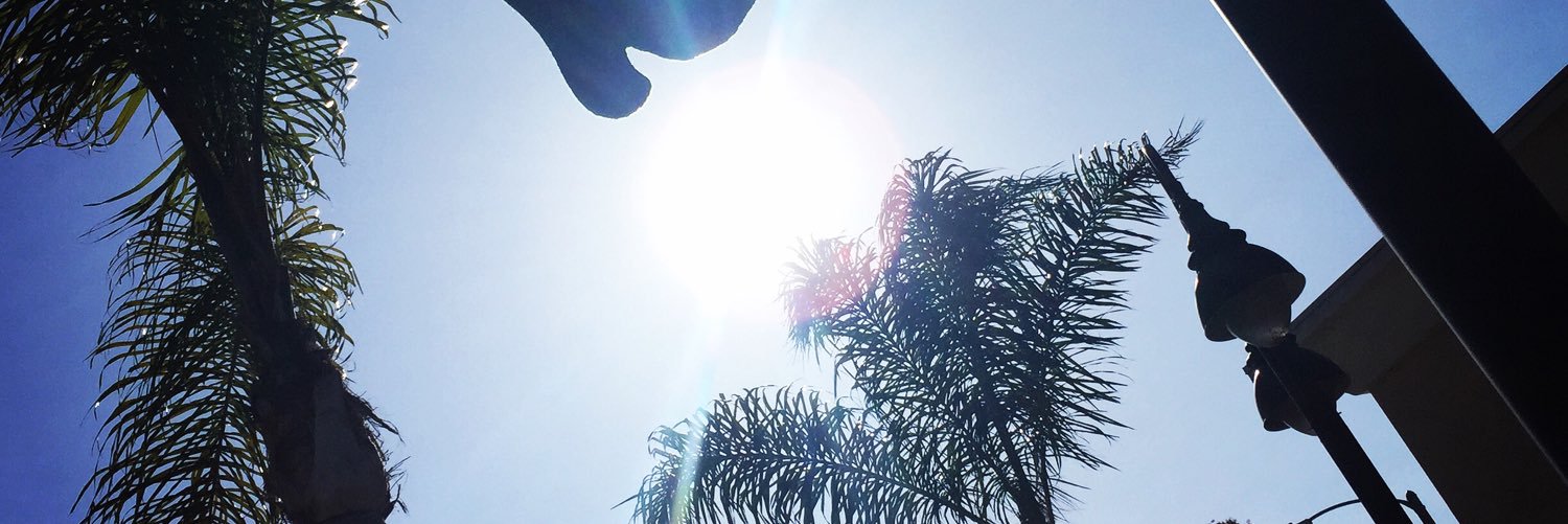 rileylowry's profile banner image