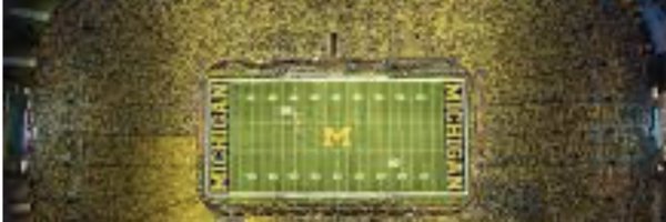 wolverinebacker Profile Banner