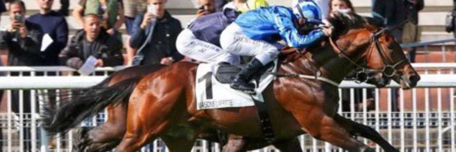 KillalaHouse Stables banner