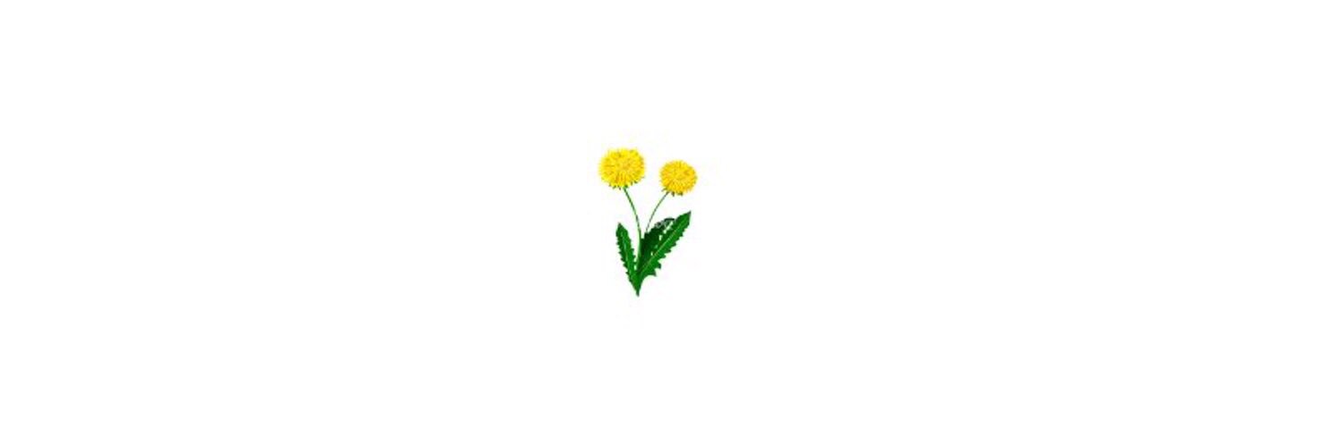 vrobles99's profile banner image