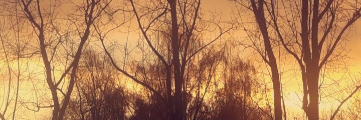 mp_pre's profile banner image