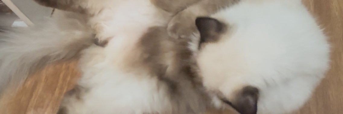 ramskyy_'s profile banner image