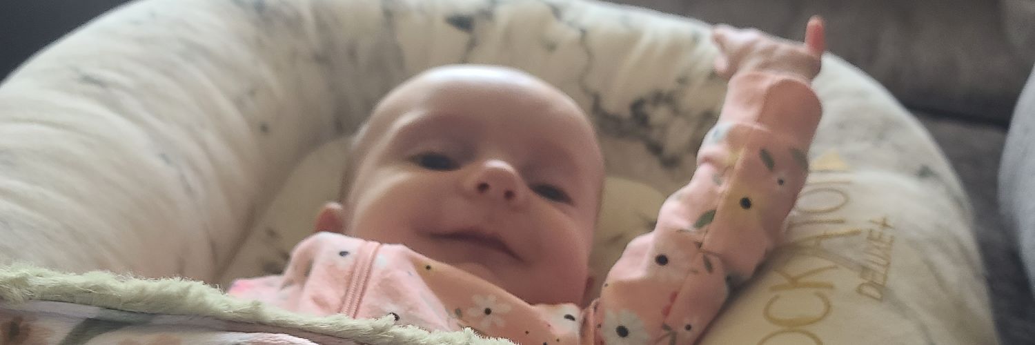 Amelia banner