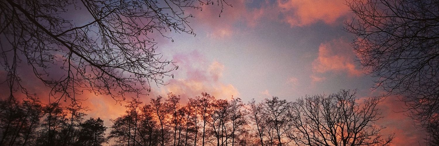 COCKYC0CK's profile banner image