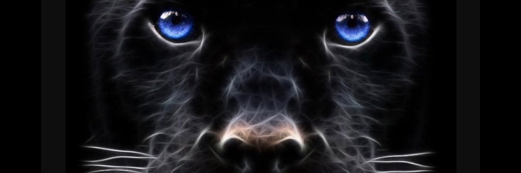 Lufkin Lady Pack Basketball banner