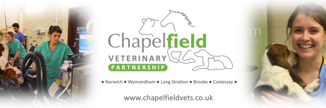 Chapelfield Vets banner