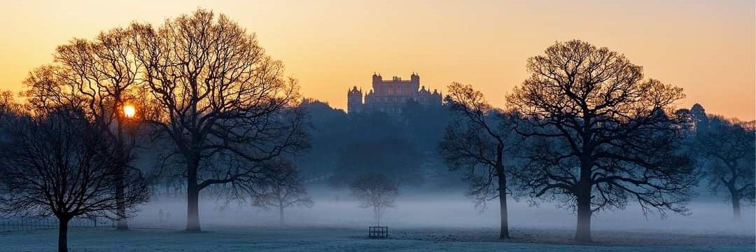 WollatonHall's profile banner image