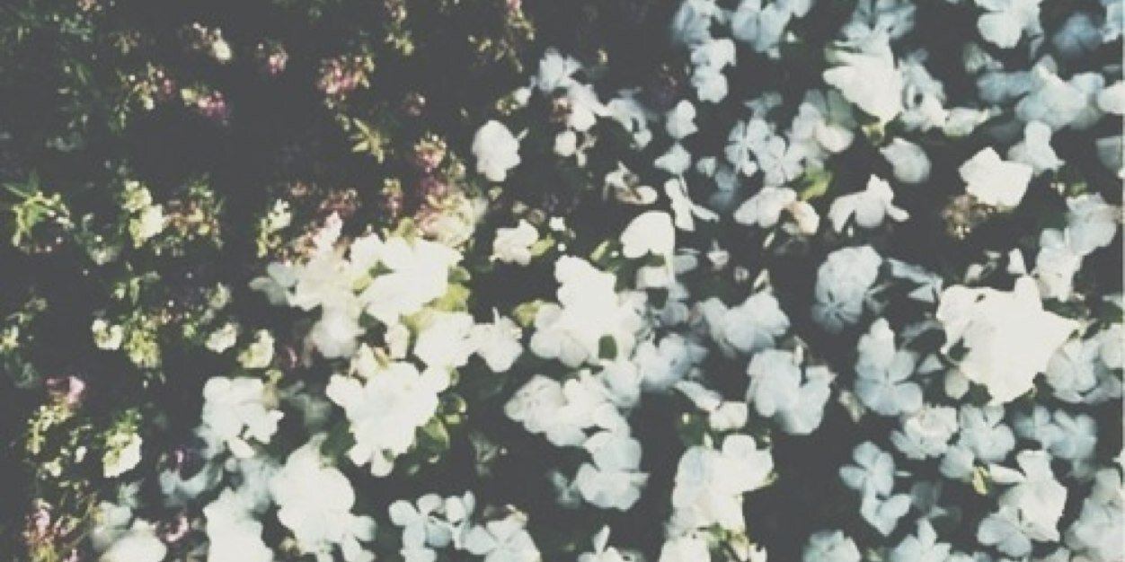 ChiverS_SG's profile banner image