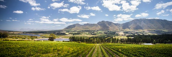 NewtonJohnsonSA Profile Banner