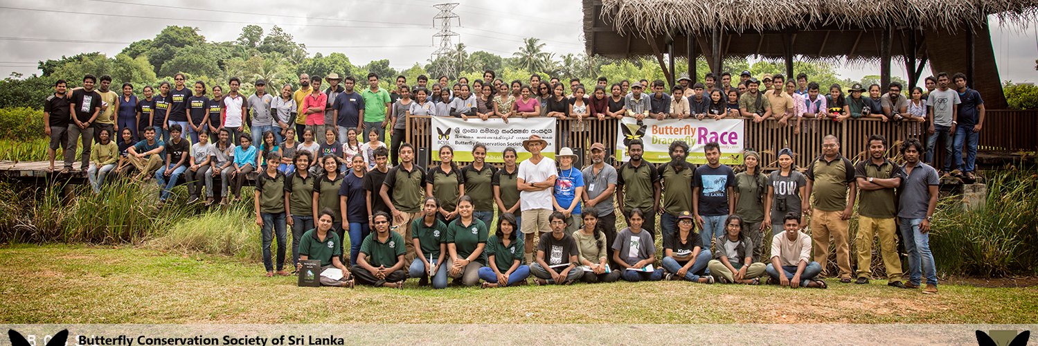Butterfly Conservation Society (#BCSSL) banner