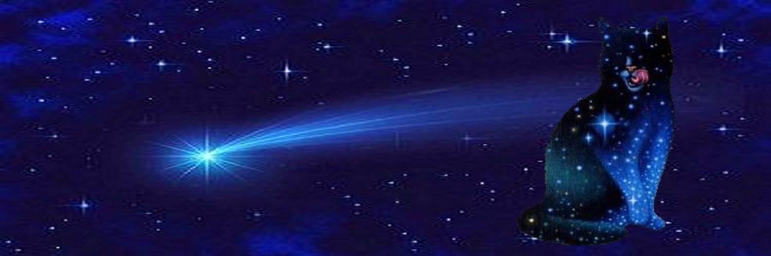ginaniu's profile banner image