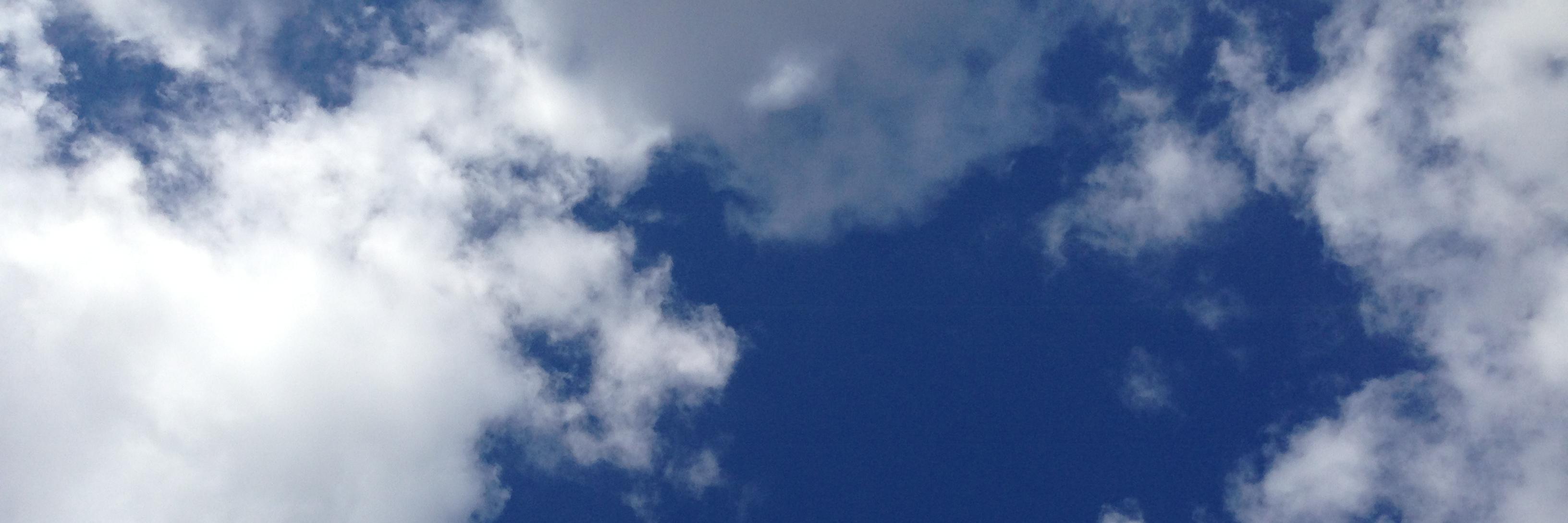 BellinzN's profile banner image