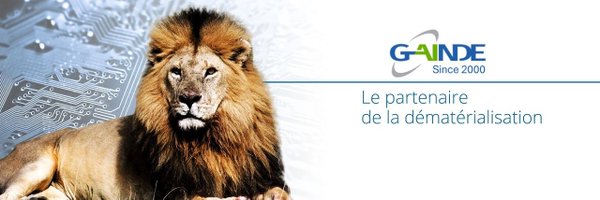 GAINDE2000 Profile Banner