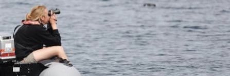 Bex Outram banner