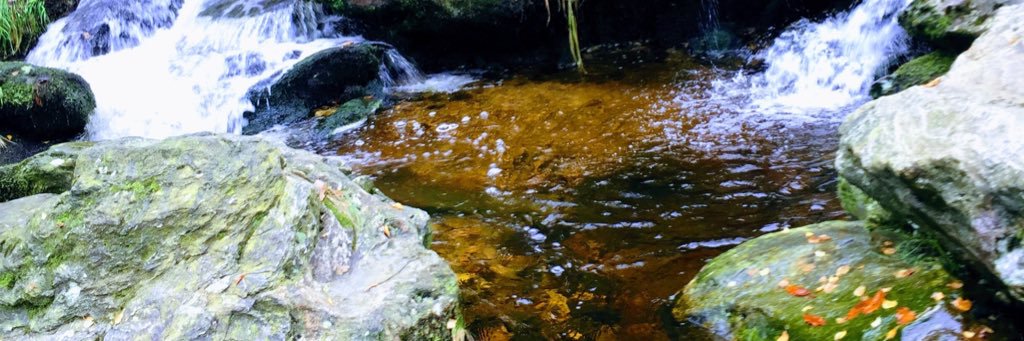 Dave O'Connor banner