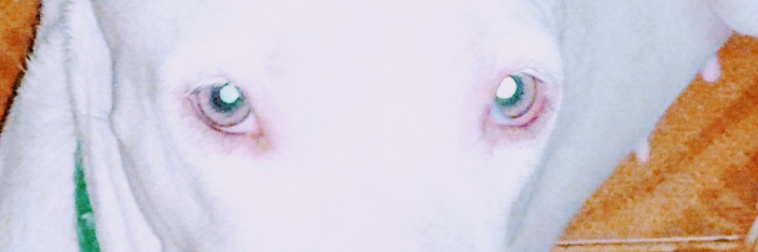 nenecitahb's profile banner image