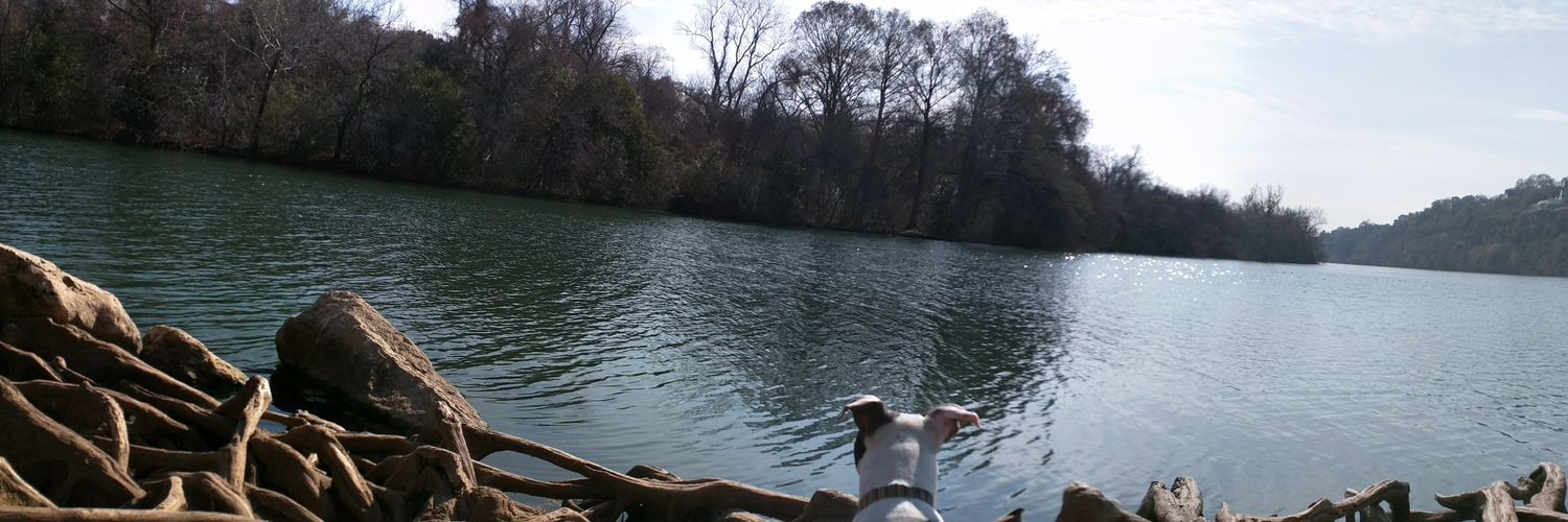 mallorybowes's profile banner image