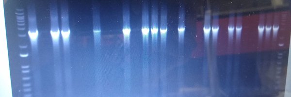 RGlowacki13 Profile Banner