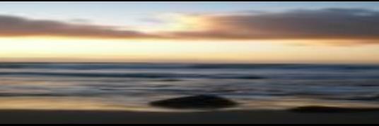 rosa guillén ferrer banner