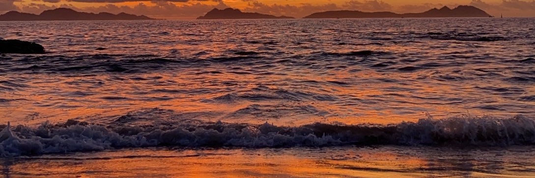 Maria_Pijuan's profile banner image