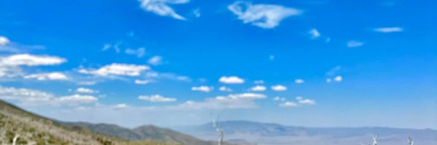 MxRhodO's profile banner image