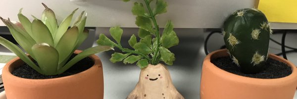 HaleyAusbun Profile Banner