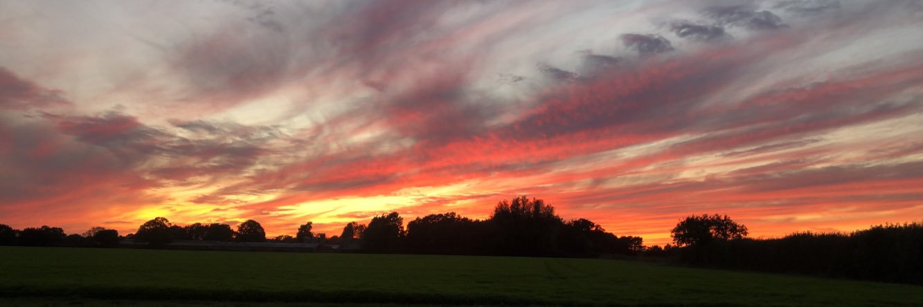 Benzzl7's profile banner image