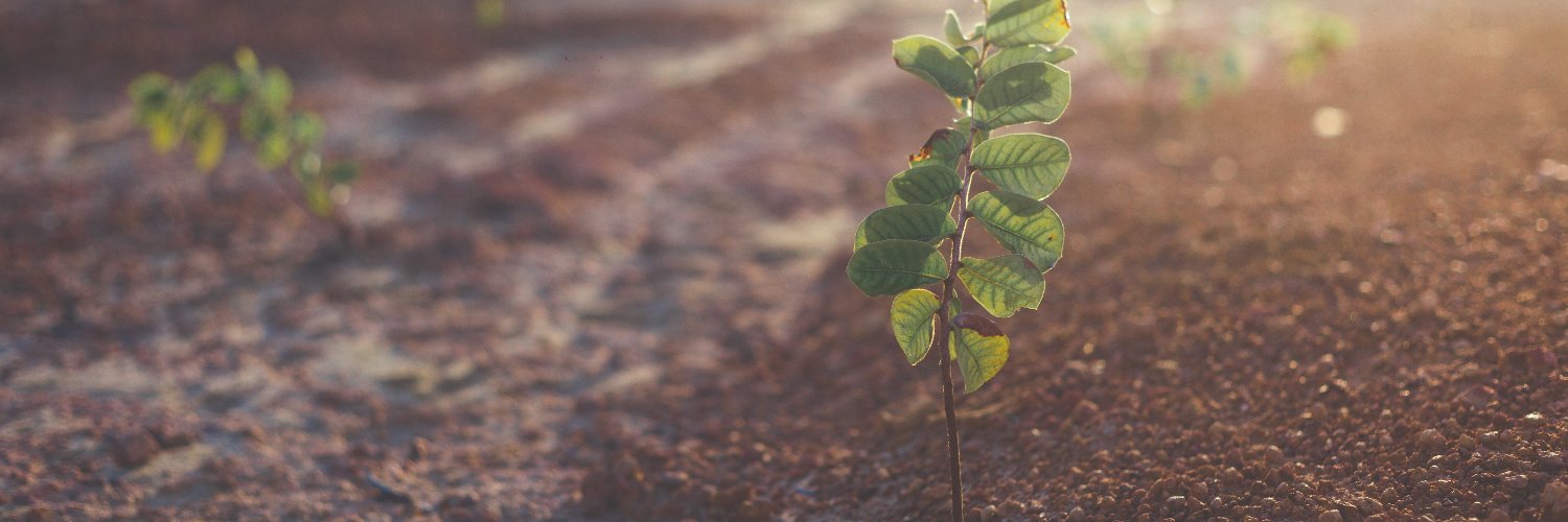 Canadian Society of Soil Science banner