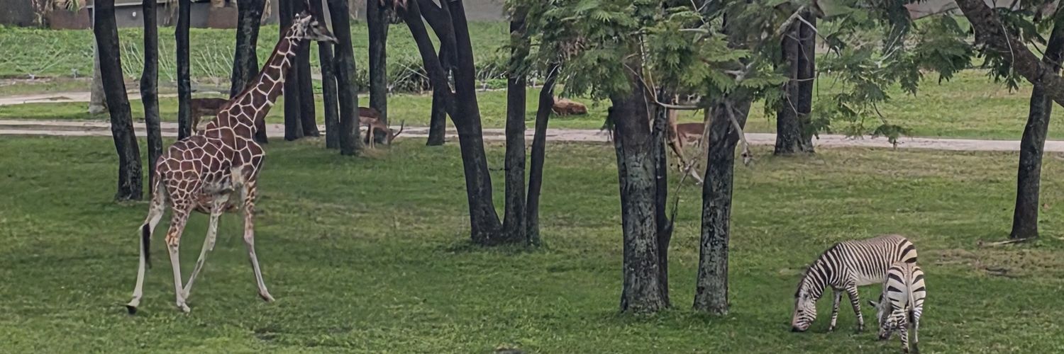 Nomadic Aaron ✝️ banner