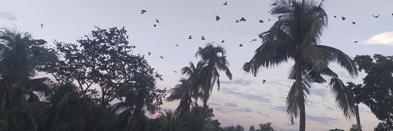 itschumki's profile banner image