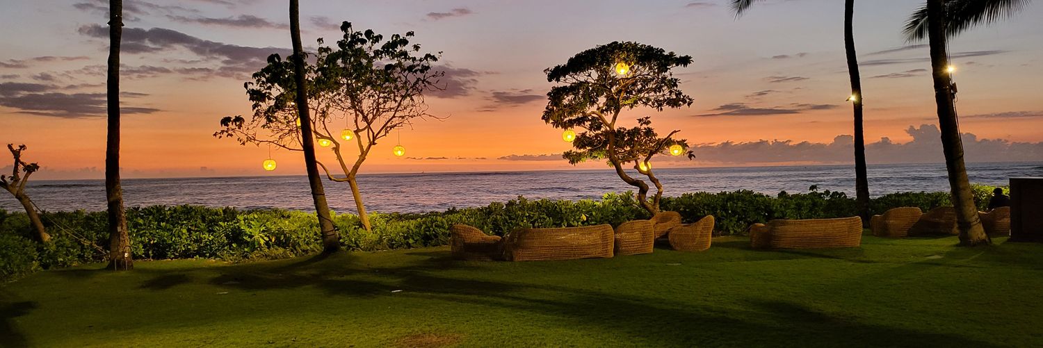 Bountiful Panda banner