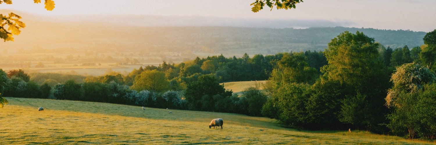 Daniel Casson's banner