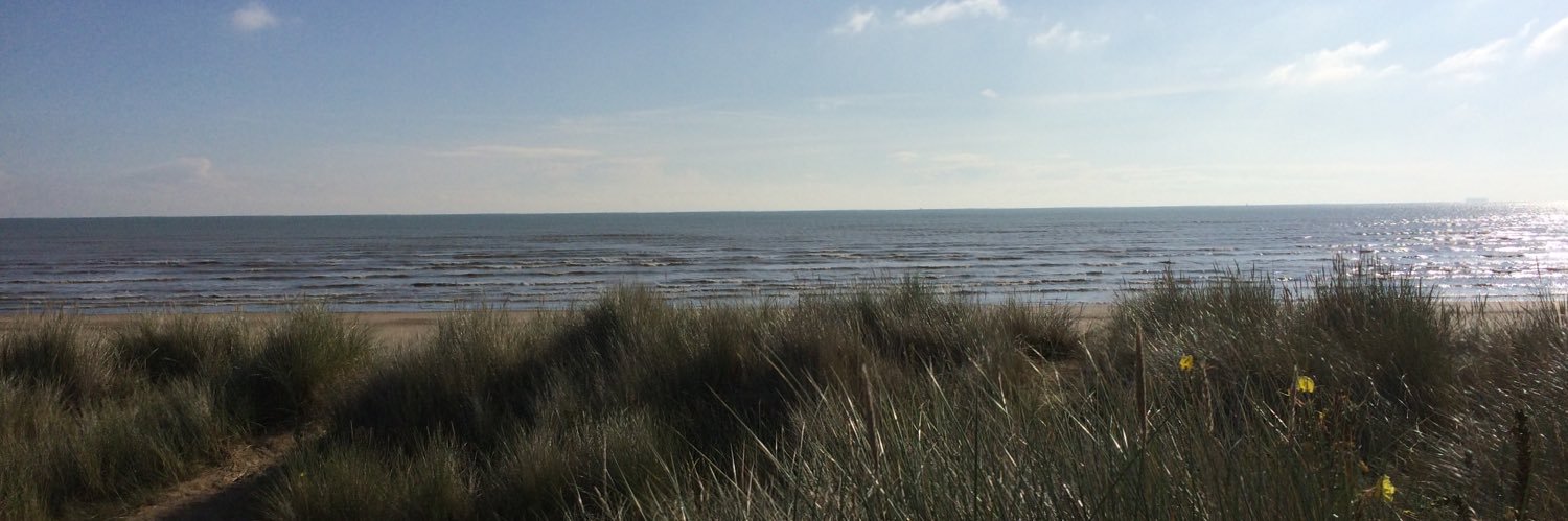 Sandrine Pataut banner