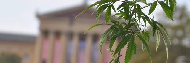 PhillyNORML's profile banner image
