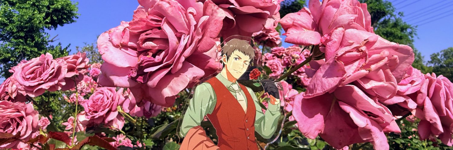 Voldick's profile banner image