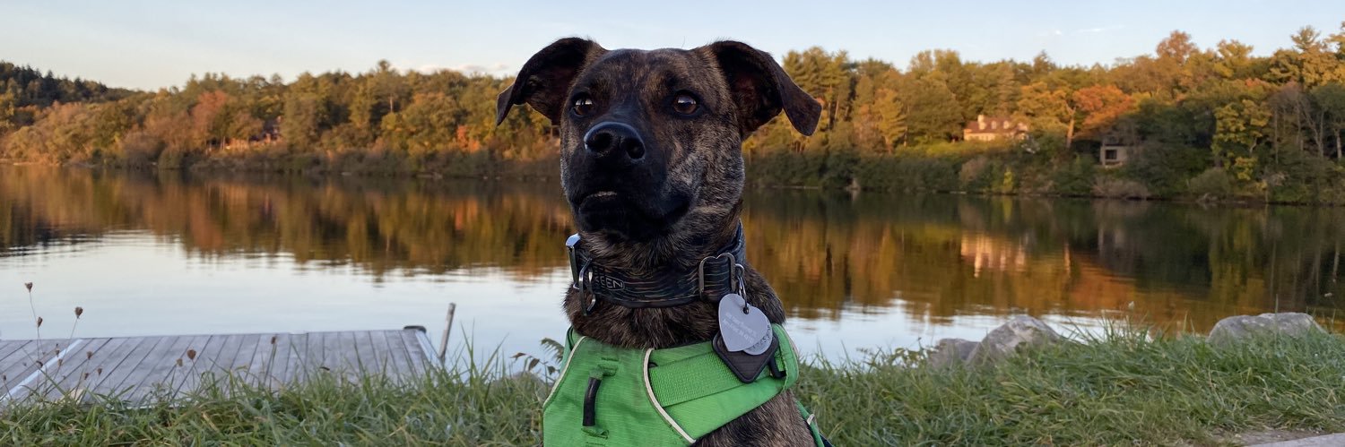 Megan R.M. Aaronson (McLeod), MD MSc banner