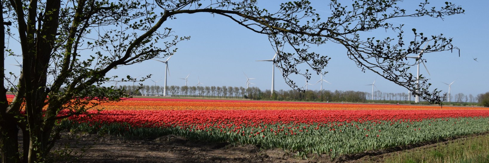 KWBN Overijssel/Flevoland banner