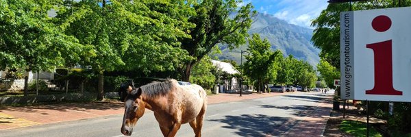 LoveGreyton Profile Banner