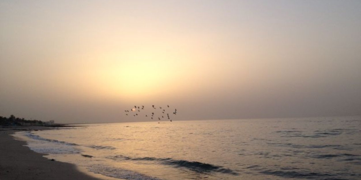 Suleiman_86's profile banner image