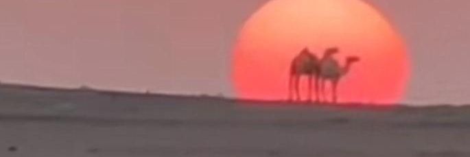 ararar7's profile banner image