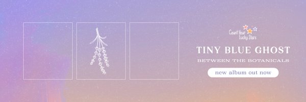 tinyblueghost Profile Banner