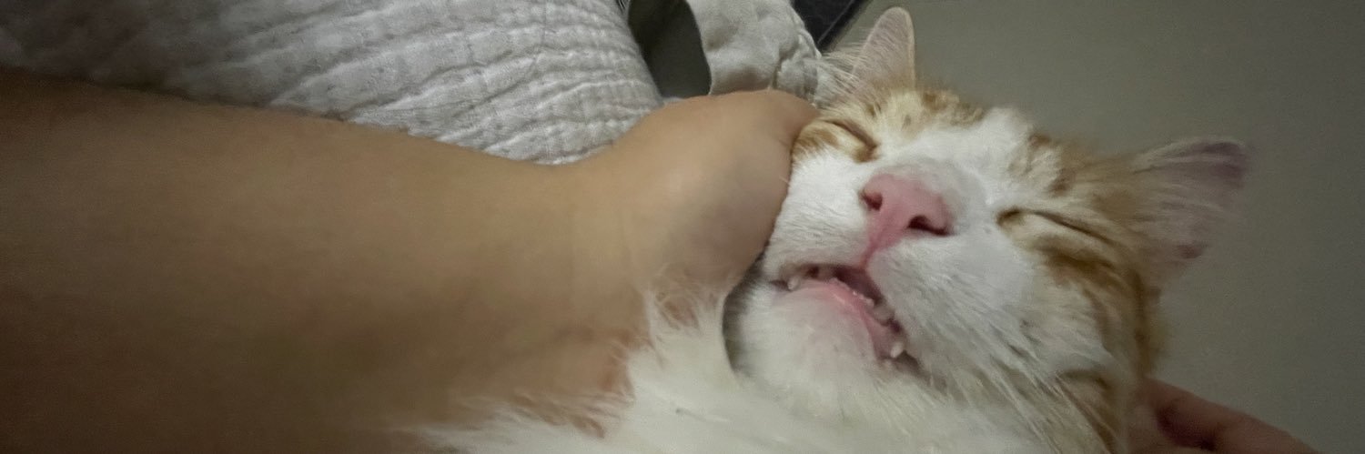 Full Meat Alchemist banner