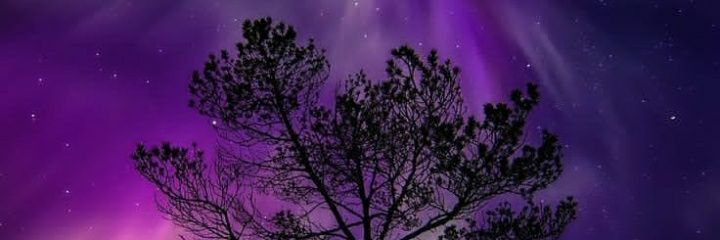 ArinKelly's profile banner image