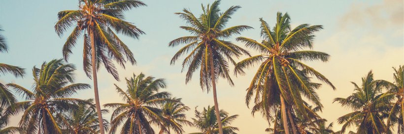 PostcardInnSPB's profile banner image